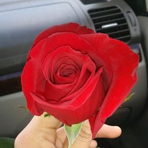 Meet your Posher, Melina